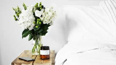 6 Jenis Tanaman Terbaik Untuk Menghiasi Kamar Tidur dan Manfaatnya